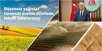 Ani Sıcaklık Değişimleri Bitkiyi Strese Soktu